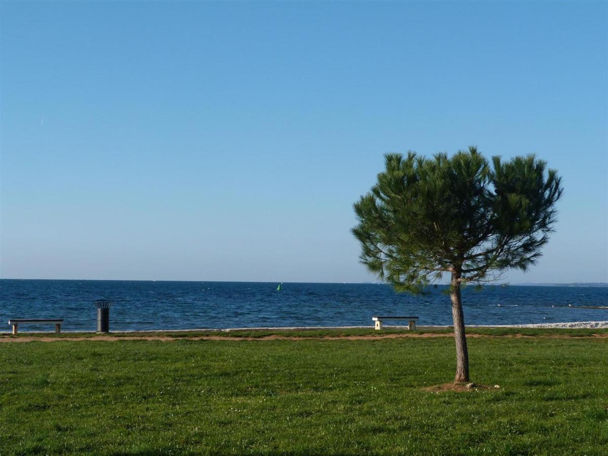 Lovely Fazana Apartments 400M From The Sea Εξωτερικό φωτογραφία
